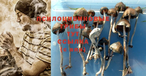 винт Армянск