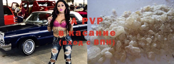 прущий лед Богданович